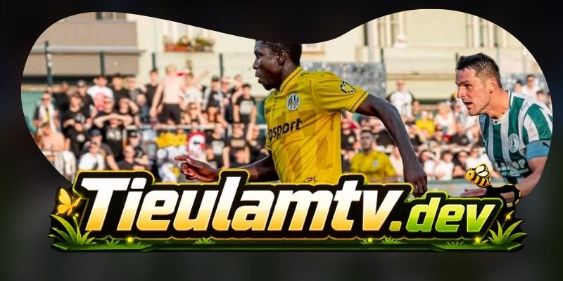 Soi Kèo Besiktas JK Vs Hradec Kralove 00h00 14/08